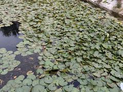 -绿堤公园