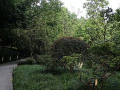 -龙头寺公园