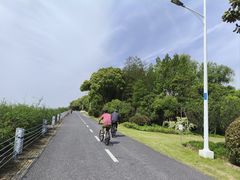 -贡湖湾湿地公园