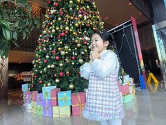 -北京希尔顿逸林酒店