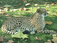 -北京野生动物园