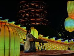 -洋湖国家湿地公园