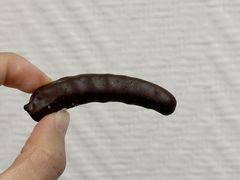 -VENCHI 闻绮(北京汉光店)