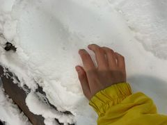 -世界之窗阿尔卑斯冰雪世界