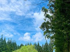 -前小桔亲子创意农场·草莓采摘·露营烧烤