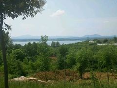 -洛阳白云山景区