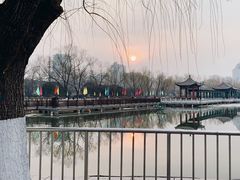 -莲花池公园