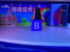 -海合安成都极地海洋公园