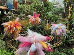 -正佳雨林生态植物园