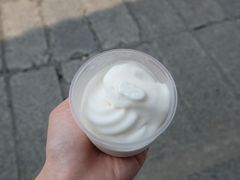-洪馨椰子