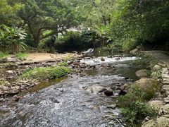 -广州市石门国家森林公园