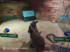 -正佳雨林生态植物园
