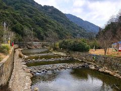 -北仑森林植物园