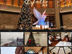 -上海和平饭店华懋阁 Cathay Room