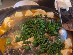 -探鱼·鲜青椒爽麻烤鱼(广州花都来又来店)