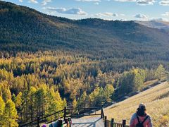 -莫尔道嘎国家森林公园