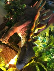 -恐龙探索乐园(磁器口店)