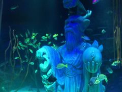 -沈阳海洋探索中心