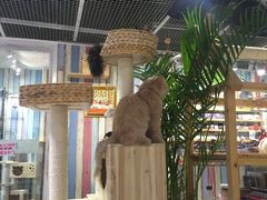 大堂-小时光咖啡馆(开森度假森林店)
