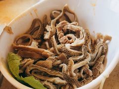 鲜毛肚-阳坊大都涮羊肉(阳坊总店)