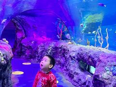 -沈阳海洋探索中心