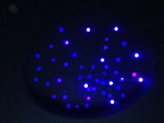 -bluefrog蓝蛙(水游城店)