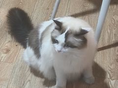 -白兔子密室(长寿路店)