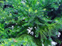 -白塘生态植物园