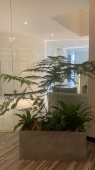 -AiCure 埃可儿·韩国医学皮肤管理