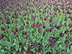 -玄武湖景区-情侣园游乐场