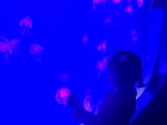 -沈阳海洋探索中心