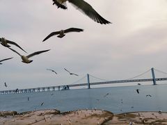 -星海广场