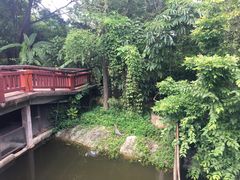 -清迈夜间动物园