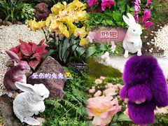 -上海辰山植物园