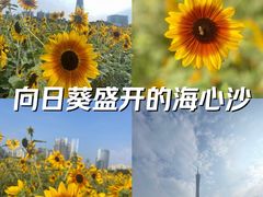 -海心沙亚运公园