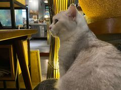 -咖法森林·咖啡  酒吧(天河店)