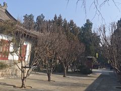 -大慈恩寺(大雁塔)
