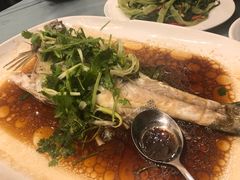 -沙龙酒家
