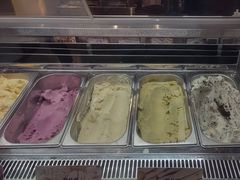 -极拉图·现制冰淇淋(大卫城店)