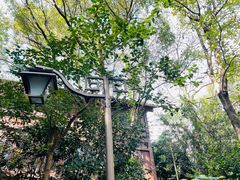 -杭州半山国家森林公园