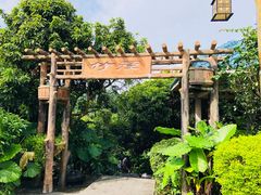 -大屏嶂森林公园