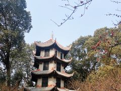 -成都杜甫草堂博物馆