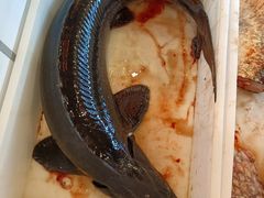 -江湖水乡铁锅炖魚(周庄嘉园店)