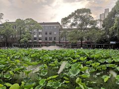 -四川大学(望江校区)