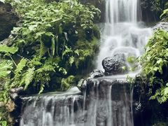 -海口火山口国家地质公园