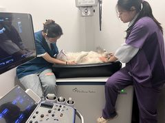 -萌兽医馆·宠物医院·猫骨科(创景店)