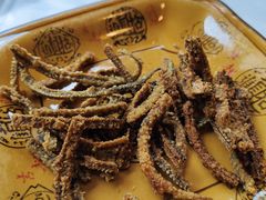 -乐山第一家临江鳝丝(茶坊路店)