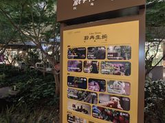 -瑞虹新天地月亮湾