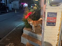 -鹿萤季·营地小馆(皇后公园店)