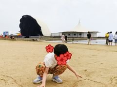 -碧海金沙